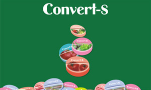 Convert - S